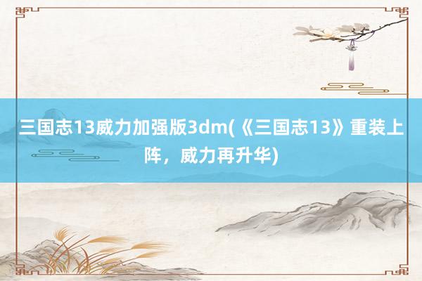 三国志13威力加强版3dm(《三国志13》重装上阵，威力再升华)