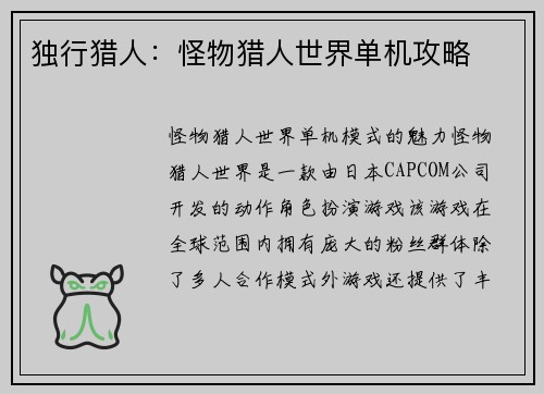 独行猎人：怪物猎人世界单机攻略